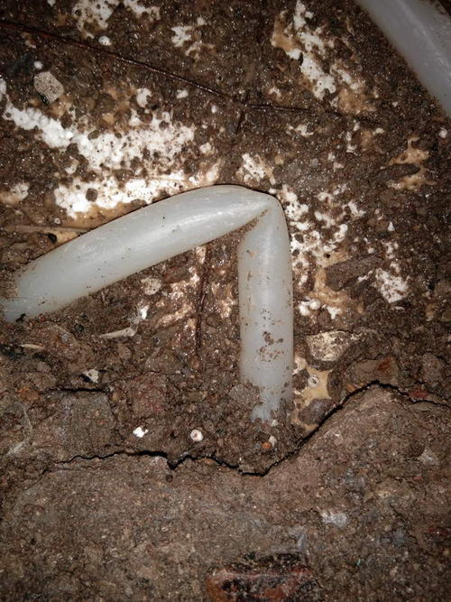 桦川堵点精准查找